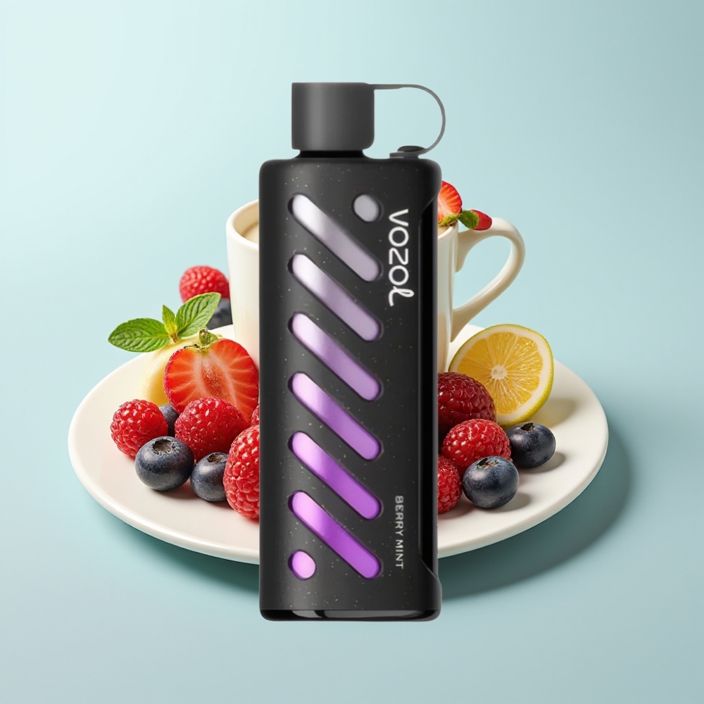 VOZOL Gear Shisha 25000 Puffs Dual Mesh 5mg/ml Berry Mint