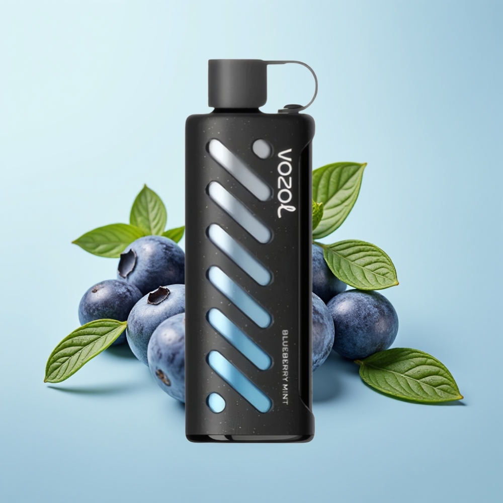 VOZOL Gear Shisha 25000 Puffs Dual Mesh 5mg/ml Sinine Mündi Maik