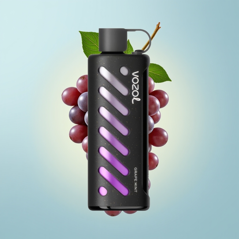 VOZOL Gear Shisha 25000 Puffs Dual Mesh Grape Mint