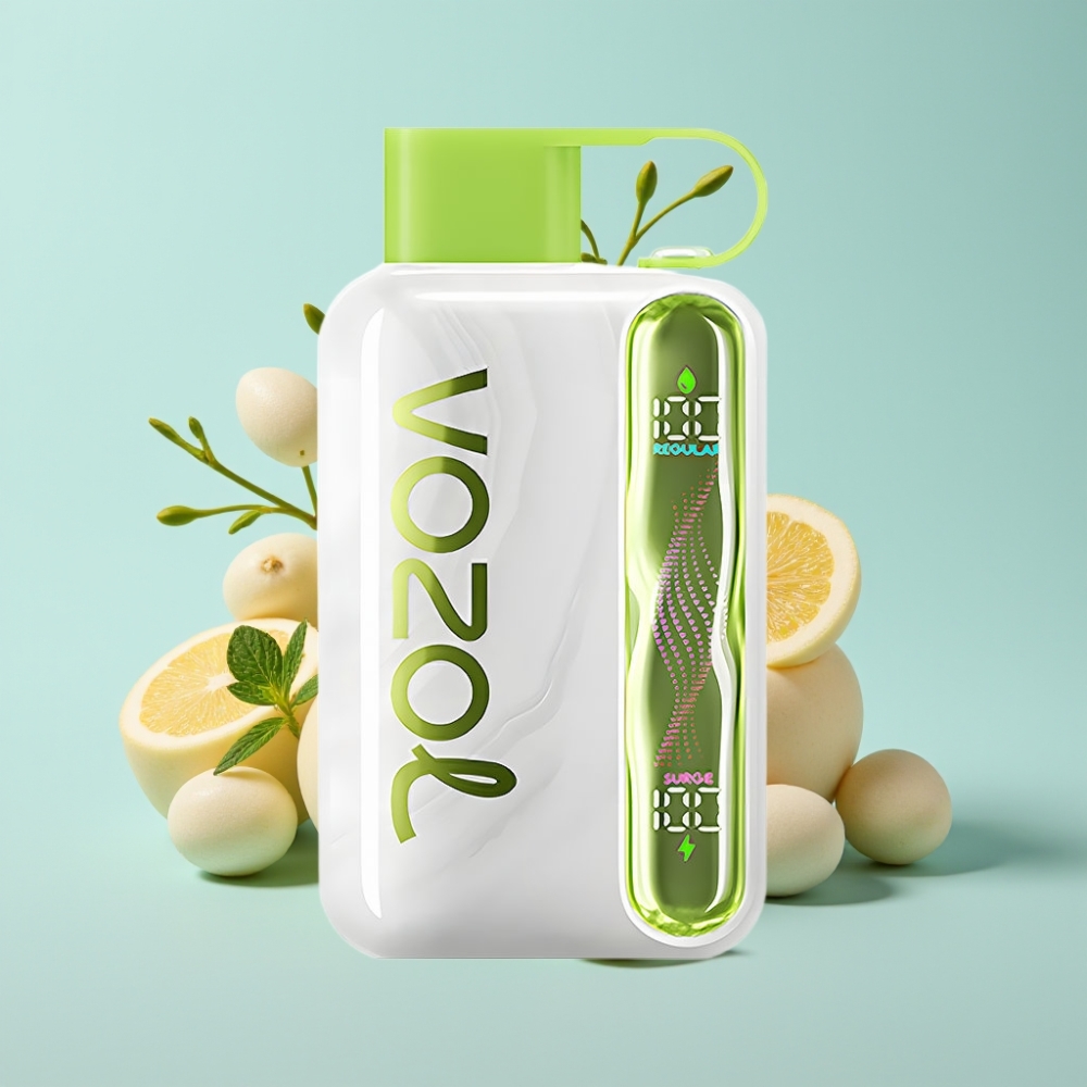 VOZOL STAR 40000 1000mAh Type-C Cool Mint