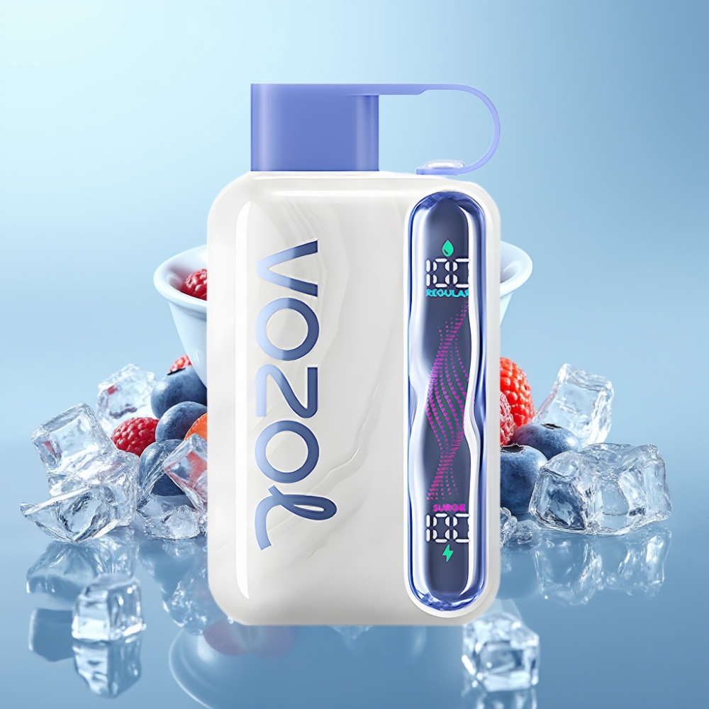 VOZOL STAR 40000 1000mAh Type-C Sinimetsa Jää
