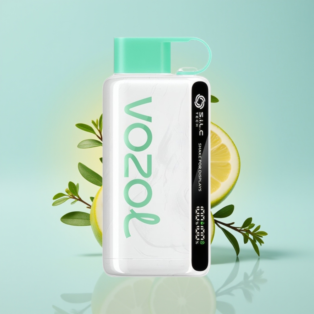 VOZOL STAR 9000/12000 Kiire Laadimine Suupiste Kaitsega Ühekordne Vape
