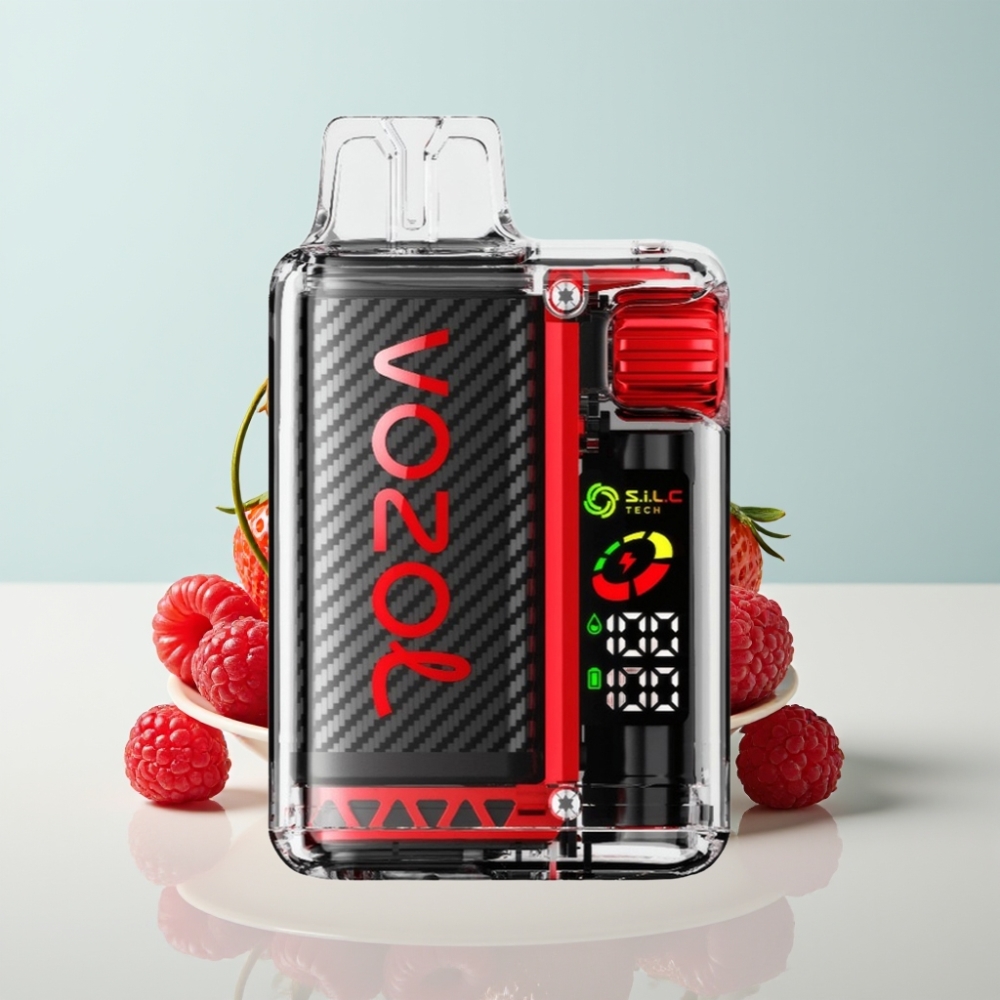 VOZOL Vista 20000 Puffs 650mAh 2% MTL S.i.L.C Eco-Friendly
